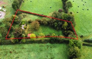 Bishopstown, Rosemount, Moate, Co. Westmeath.