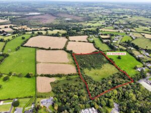 Portaneena, Glasson, Co. Westmeath.