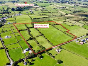 Ballybrogan, Lecarrow, Co. Roscommon.