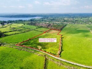 Ballinrooey, Dring, Co. Longford.