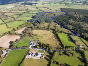 Ardborro, Drumraney, Co. Westmeath.